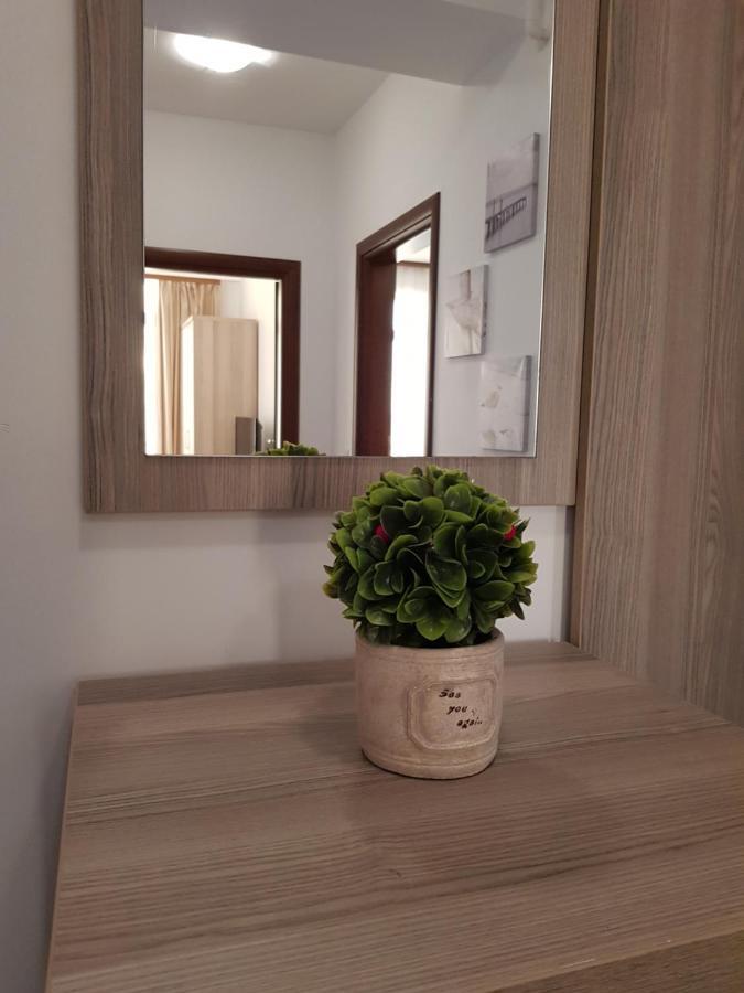 Summerland Beach&Sun Apartments Mamaia Luaran gambar
